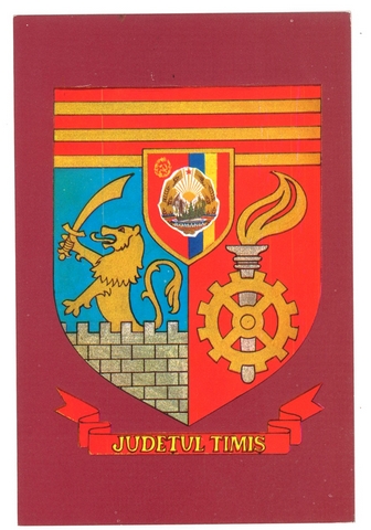 1828-1 - Stema judetului Timis